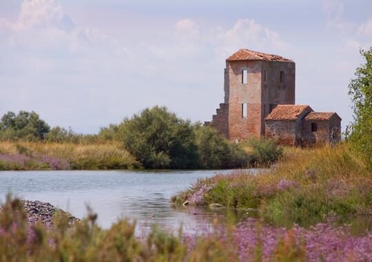 Houseboat : Delta del Po - ID 562