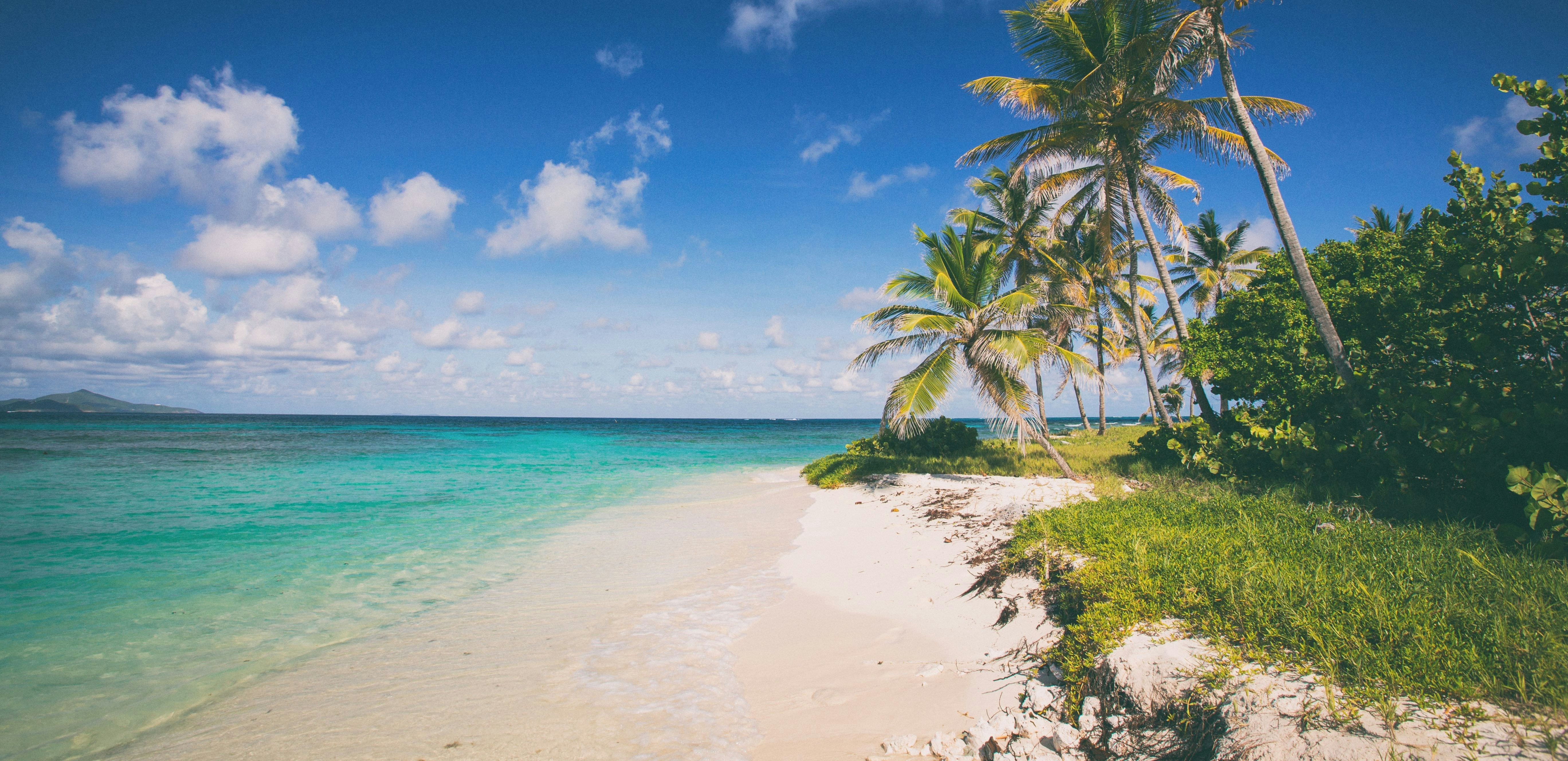 Grenadyny i Tobago Cays: 11 dni katamaranem