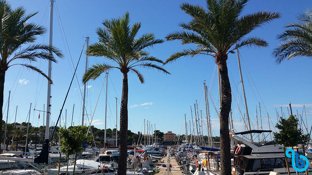 Bavaria Cruiser 37, Black Pearl