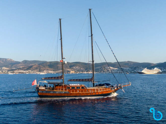 Capricorn 1 Capricorn 1