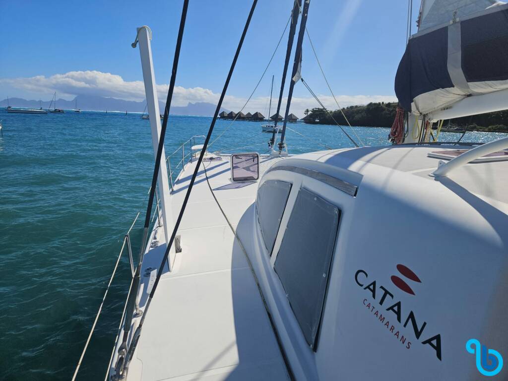 Catana 55, Curie