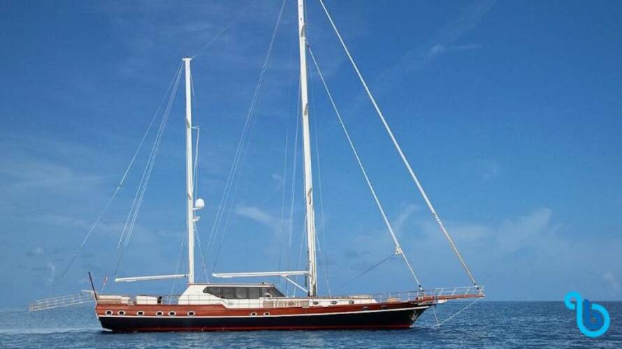 Dragon fly Dragon Fly