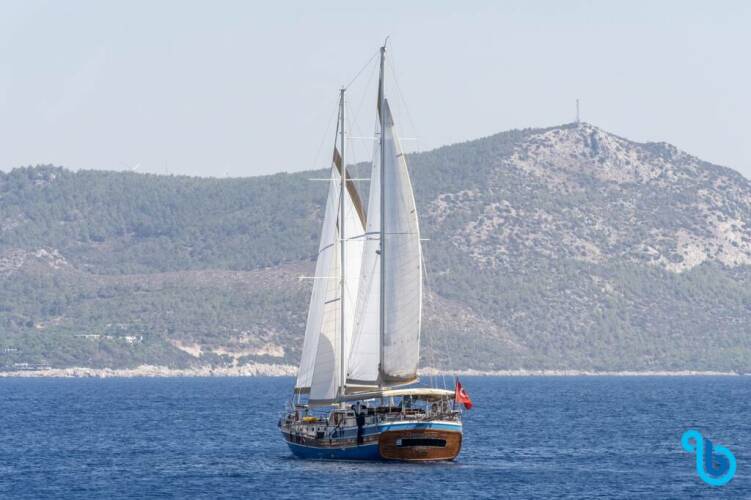 Gözdem The One Gözdem The One 