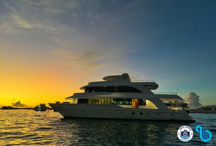 Motor Yacht NORTH SEVEN Cruiser Yachts