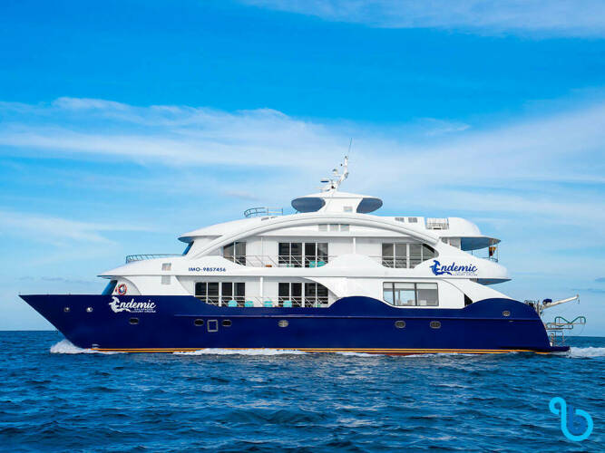 Endemic Luxury catamaran