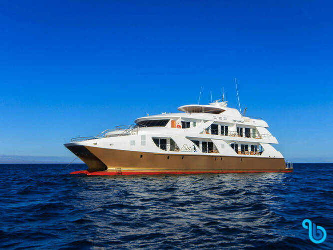 Elite Luxury catamaran