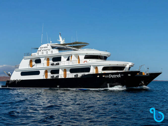 Petrel Luxury motor yacht