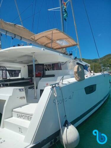 Saona 47 SAPOTIER **