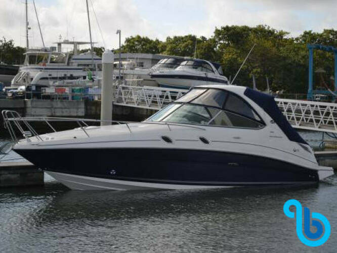 Sea Ray 305 Sundancer Fourbuoys