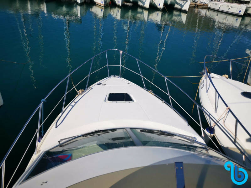 Sealine F34, Little One